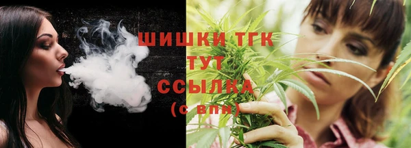 прущие грибы Абаза