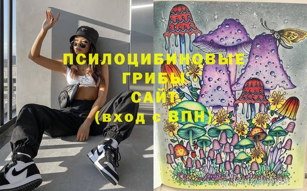 дживик Алексин