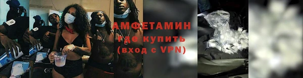 прущие грибы Абаза
