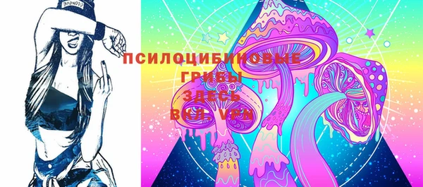 спиды Алексеевка