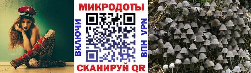 Псилоцибиновые грибы Magic Shrooms  Черноголовка 